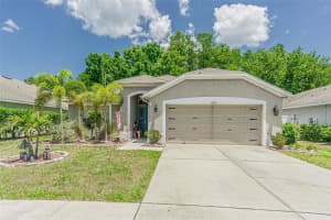 13207 OLD FLORIDA CIRCLE, HUDSON, FL 34669 Sold 01/16/25