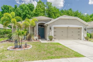 13207 OLD FLORIDA CIRCLE, HUDSON, FL 34669 Sold 01/16/25