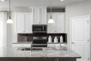 799 Autumn Oaks Lp, Mt Dora, FL 32757, Sold 05/22/24