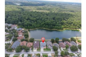 10522 SKY FLOWER COURT, LAND O LAKES, FL 34638 Sold 08/30/24