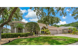 1017 KINGS WAY LANE, TARPON SPRINGS, FL 34688 Sold 12/06/24