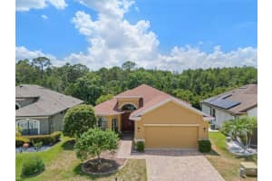 1111 KETZAL DRIVE, TRINITY, FL 34655 Sold 08/29/24