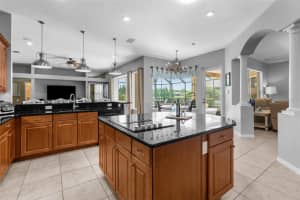 23340 GRACEWOOD CIRCLE, LAND O LAKES, FL 34639 Sold 06/21/24