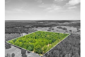 SCIENCE DR, BROOKSVILLE, FL 34601 - MLS#MFRW7865571