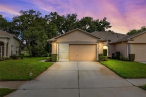 11613 HOLLY ANN DRIVE, NEW PORT RICHEY, FL 34654 Sold 08/12/24