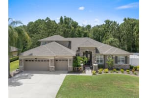 16204 IVY LAKE DRIVE, ODESSA, FL 33556 Sold 07/11/24