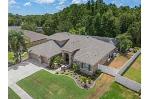 16204 IVY LAKE DRIVE, ODESSA, FL 33556 Sold 07/11/24