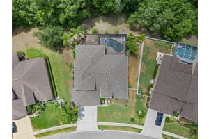 16204 IVY LAKE DRIVE, ODESSA, FL 33556 Sold 07/11/24