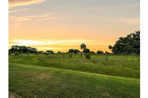 11259 COREY PAVIN LANE, SAN ANTONIO, FL 33576 Sold 11/26/24