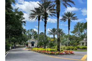 11259 COREY PAVIN LANE, SAN ANTONIO, FL 33576 Sold 11/26/24