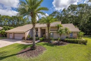 4073 WELLINGTON PARKWAY, PALM HARBOR, FL 34685 Sold 09/20/24
