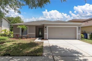 13903 JACOBSON DRIVE, ODESSA, FL 33556 Sold 07/12/24