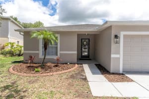13903 JACOBSON DRIVE, ODESSA, FL 33556 Sold 07/12/24