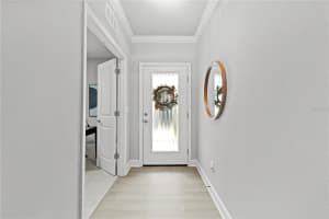 18119 TURNING LEAF CIRCLE, LAND O LAKES, FL 34638 Sold 11/01/24