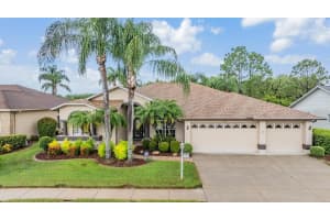 1706 WINDING WILLOW DRIVE, TRINITY, FL 34655 Sold 07/31/24