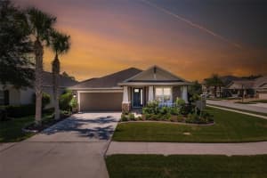 1770 VIRGINIA WILLOW DRIVE, WESLEY CHAPEL, FL 33544 Sold 09/11/24