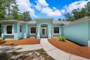 10463 YELLOWLEGS AVENUE, WEEKI WACHEE, FL 34614 Sold 03/11/25