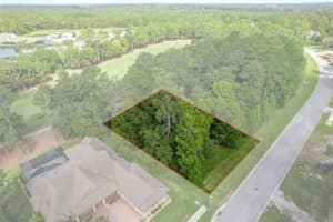 19682 STERLING BLUFF WAY, BROOKSVILLE, FL 34601 Sold 12/18/24