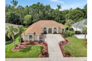 5348 LEGEND HILLS LANE, SPRING HILL, FL 34609 Sold 12/31/24
