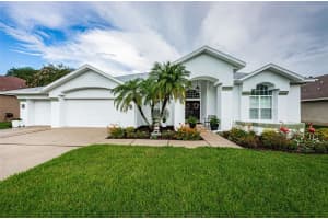 8015 MAIDENCANE DRIVE, TRINITY, FL 34655 Sold 08/08/24