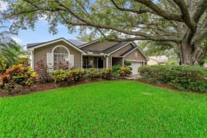4703 BRAYTON TERRACE, PALM HARBOR, FL 34685 Sold 08/23/24