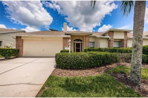 1136 FLORA VISTA STREET, TRINITY, FL 34655 Sold 12/26/24