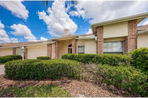 1136 FLORA VISTA STREET, TRINITY, FL 34655 Sold 12/26/24
