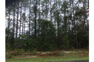 1420 JAPONICA PLACE, DUNNELLON, FL 34434 Sold 10/24/24