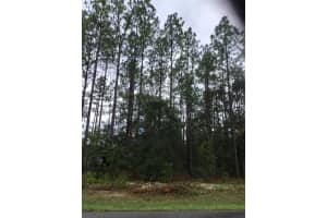 1420 JAPONICA PLACE, DUNNELLON, FL 34434 Sold 10/24/24