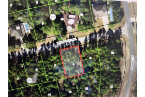 1420 JAPONICA PLACE, DUNNELLON, FL 34434 Sold 10/24/24