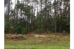 1436 JAPONICA PLACE, DUNNELLON, FL 34434 Sold 10/24/24