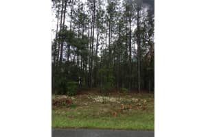 1436 JAPONICA PLACE, DUNNELLON, FL 34434 Sold 10/24/24