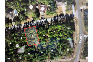 1436 JAPONICA PLACE, DUNNELLON, FL 34434 Sold 10/24/24