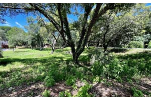 17913 GREENSBORO STREET, SPRING HILL, FL 34610 Sold 11/22/24
