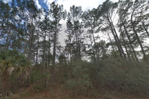 9142 MICHIGAN AVENUE, WEEKI WACHEE, FL 34613 Sold 06/23/25