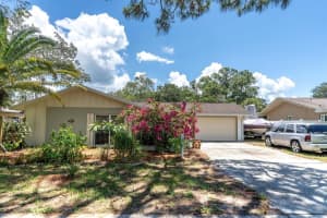 1293 DISSTON AVENUE, TARPON SPRINGS, FL 34689 Sold 09/30/24