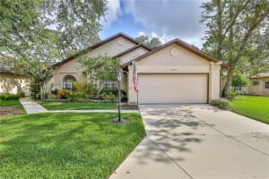 6803 PLUMLEAF COURT, SPRING HILL, FL 34606 Sold 11/27/24