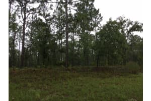 2191 CITRUS SPRINGS BOULEVARD, DUNNELLON, FL 34434 - MLS#MFRW7866380