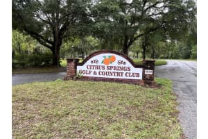 2191 CITRUS SPRINGS BOULEVARD, DUNNELLON, FL 34434 - MLS#MFRW7866380