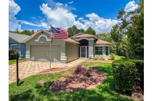 18002 WEBSTER GROVE DRIVE, HUDSON, FL 34667 Sold 09/18/24