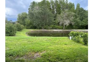 1232 CHARLESWORTH DRIVE, WESLEY CHAPEL, FL 33543 Sold 11/01/24