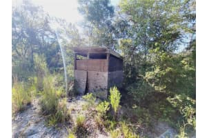 15525 232ND LANE, FORT MC COY, FL 32134 Sold 02/03/25