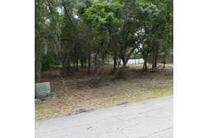 9532 PEACHTREE LANE, INVERNESS, FL 34453 - MLS#MFRW7866467