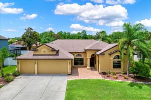 10807 RAIN LILY PASS, LAND O LAKES, FL 34638 Sold 09/20/24