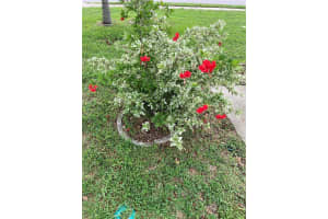 3243 COVINA STREET, NEW PORT RICHEY, FL 34655 Sold 09/27/24