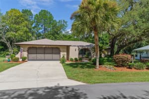 47 HOLLYHOCK COURT, HOMOSASSA, FL 34446 Sold 08/16/24
