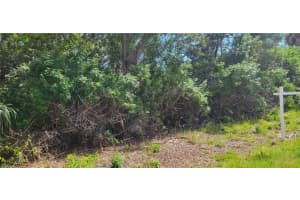 LOT 8 NOWIKI AVENUE, HUDSON, FL 34667 - MLS#MFRW7866623
