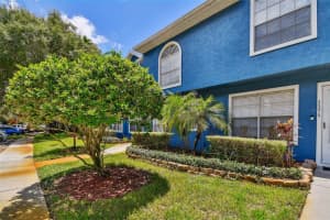 3377 FOX HUNT DRIVE, PALM HARBOR, FL 34683 Sold 11/26/24