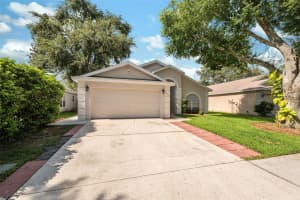 6803 SILVER BRANCH COURT, TAMPA, FL 33625 Sold 11/21/24
