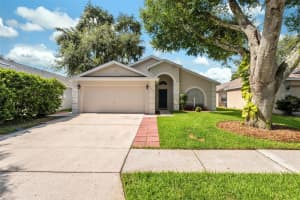 6803 SILVER BRANCH COURT, TAMPA, FL 33625 Sold 11/21/24